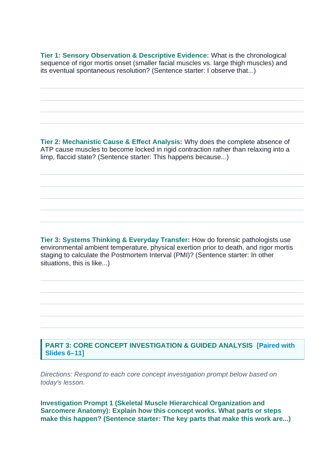 The Muscular System Scaffolded Phenomena-Based Lesson: The Postmortem Lock: Why Muscles Turn to Stone When Cellular Energy Dies Student Response Sheet sample page