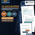 The Muscular System Scaffolded Phenomena-Based Lesson: The Postmortem Lock: Why Muscles Turn to Stone When Cellular Energy Dies Student Response Sheet cover