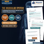 The Muscular System Scaffolded Phenomena-Based Lesson: The Postmortem Lock: Why Muscles Turn to Stone When Cellular Energy Dies Student Response Sheet cover