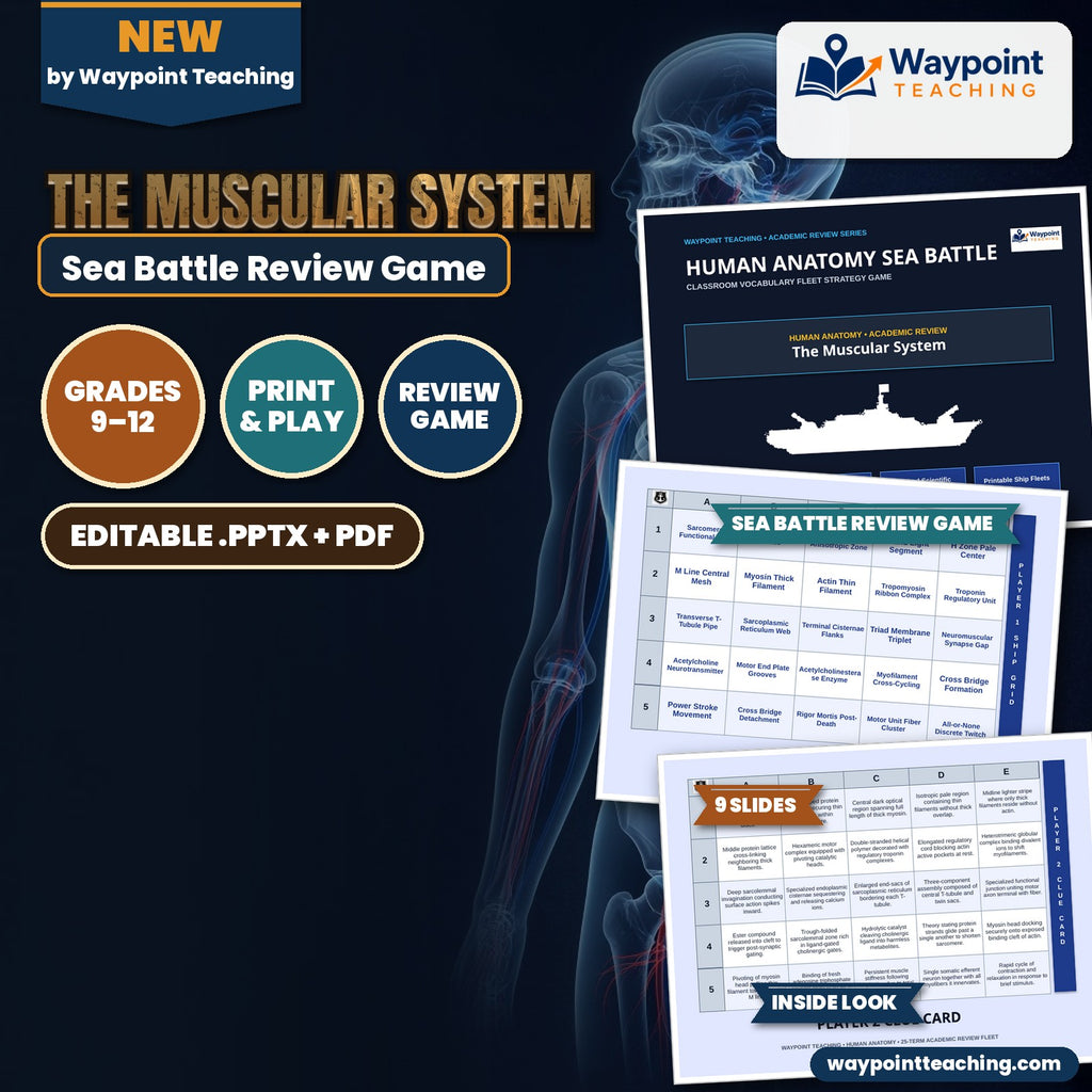 The Muscular System Sea Battle Review Game cover