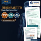The Muscular System Substitute Lesson Plan cover