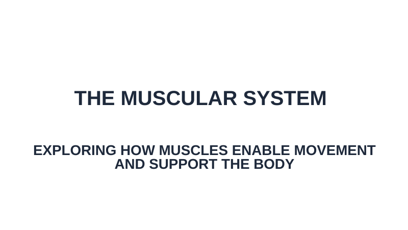 The Muscular System Substitute Slideshow & Teacher Guide sample page