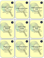 The Muscular System Trivia Board Game sample page