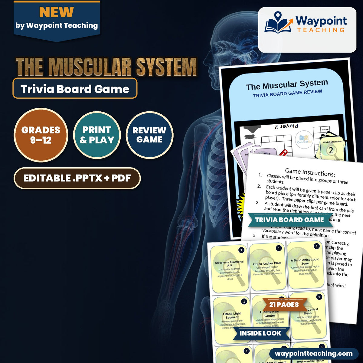 The Muscular System Trivia Board Game cover