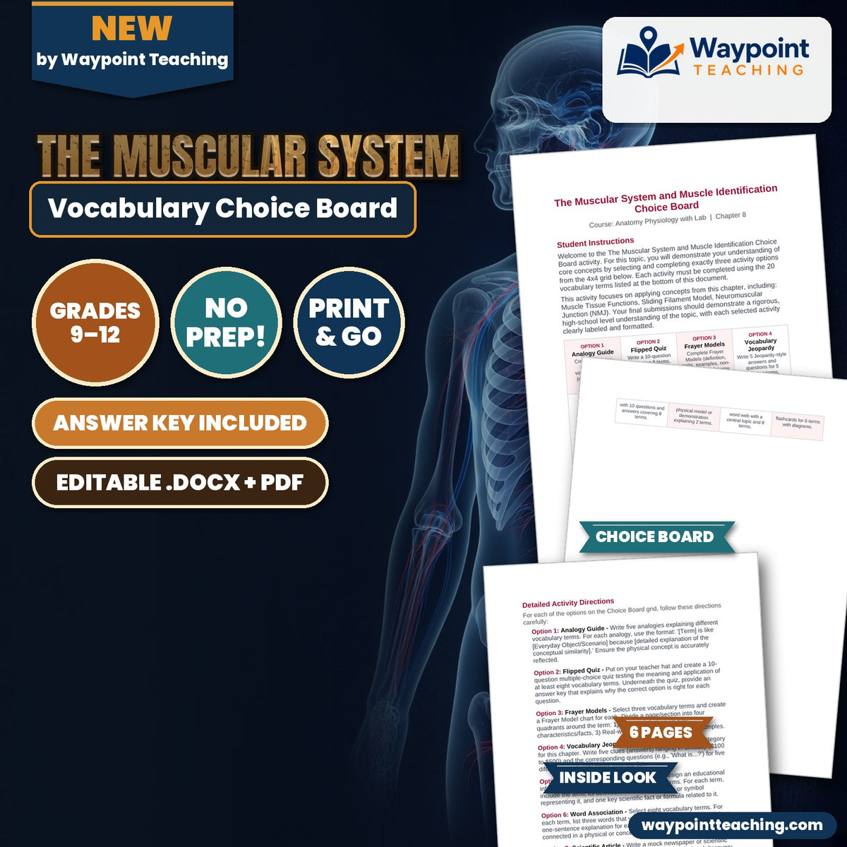 The Muscular System Vocabulary Choice Board cover