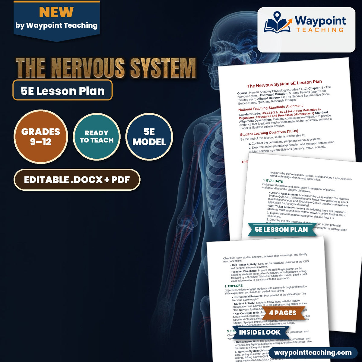 The Nervous System 5E Lesson Plan cover