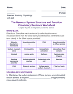 The Nervous System Fill-in-the-Blank Vocabulary Worksheet sample page