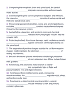 The Nervous System Fill-in-the-Blank Vocabulary Worksheet sample page