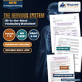 The Nervous System Fill-in-the-Blank Vocabulary Worksheet cover