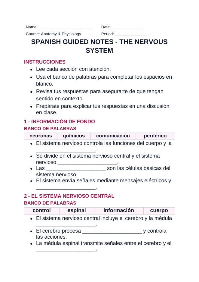 The Nervous System Spanish Guided Notes sample page