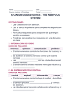 The Nervous System Spanish Guided Notes sample page