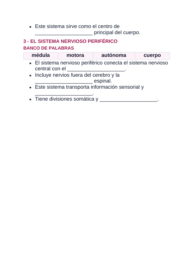 The Nervous System Spanish Guided Notes sample page