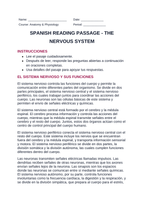 The Nervous System Spanish Reading Passage & Comprehension Questions sample page