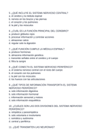 The Nervous System Spanish Unit Test sample page