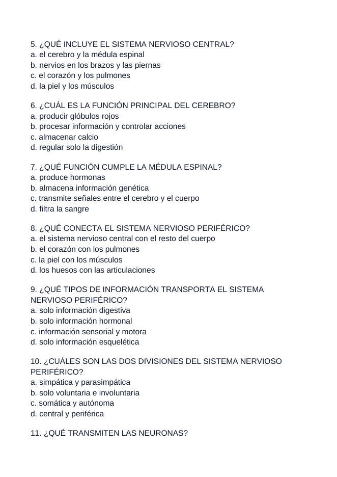 The Nervous System Spanish Unit Test sample page