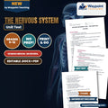 The Nervous System Spanish Unit Test cover