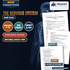 The Nervous System Spanish Unit Test cover