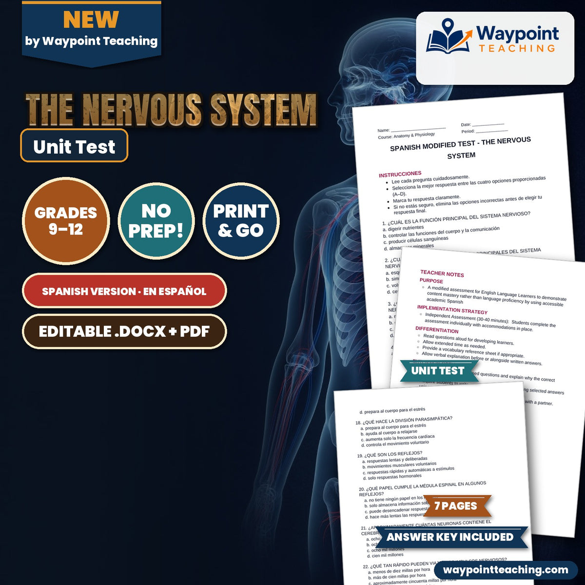 The Nervous System Spanish Unit Test cover