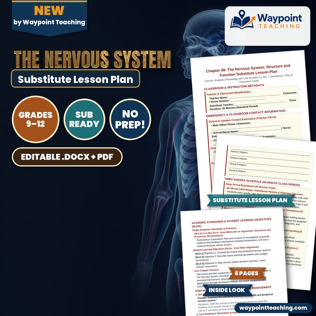 The Nervous System Substitute Lesson Plan cover
