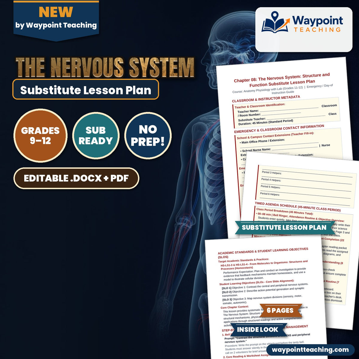 The Nervous System Substitute Lesson Plan cover