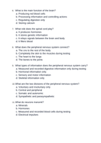 The Nervous System Unit Test sample page