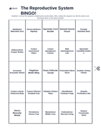 The Reproductive System BINGO Review Game sample page