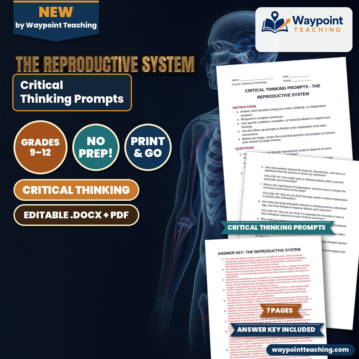 The Reproductive System Critical Thinking Prompts cover