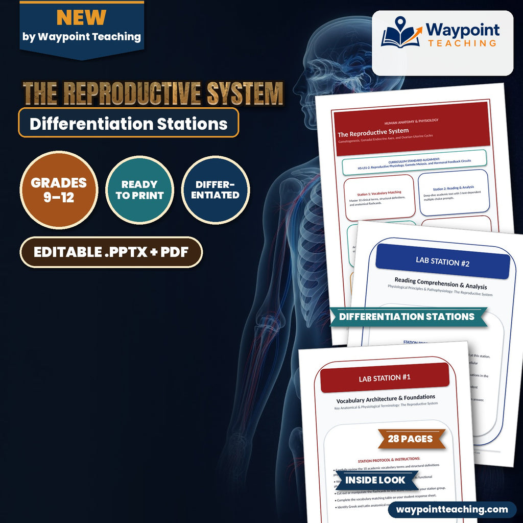 The Reproductive System Differentiation Stations cover