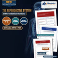 The Reproductive System Differentiation Stations cover