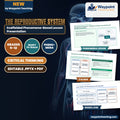 The Reproductive System Scaffolded Phenomena-Based Lesson: Phenotypic Divergence: Complete Androgen Insensitivity and Receptor Resistance Presentation cover