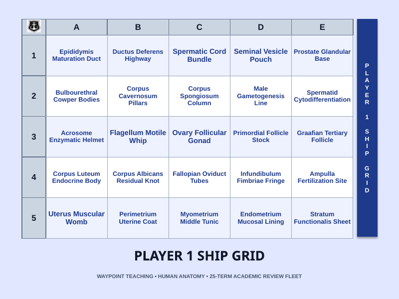 The Reproductive System Sea Battle Review Game sample page