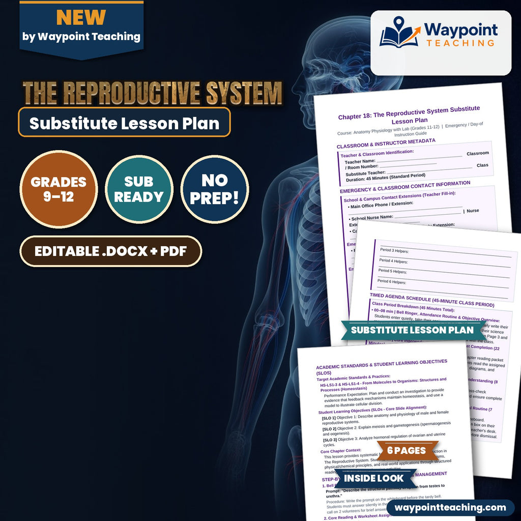 The Reproductive System Substitute Lesson Plan cover