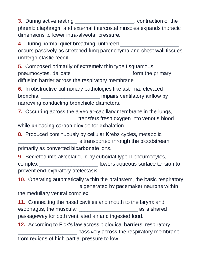 The Respiratory System Fill-in-the-Blank Vocabulary Worksheet sample page