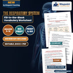 The Respiratory System Fill-in-the-Blank Vocabulary Worksheet cover