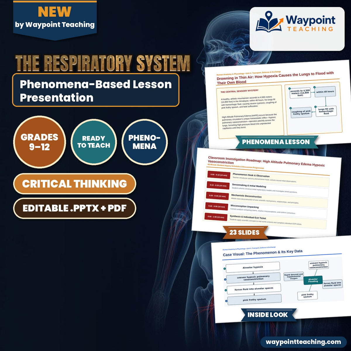 The Respiratory System Phenomena-Based Lesson: Drowning in Thin Air: How Hypoxia Causes the Lungs to Flood with Their Own Blood Presentation cover