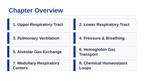 The Respiratory System Slide Show Presentation sample page