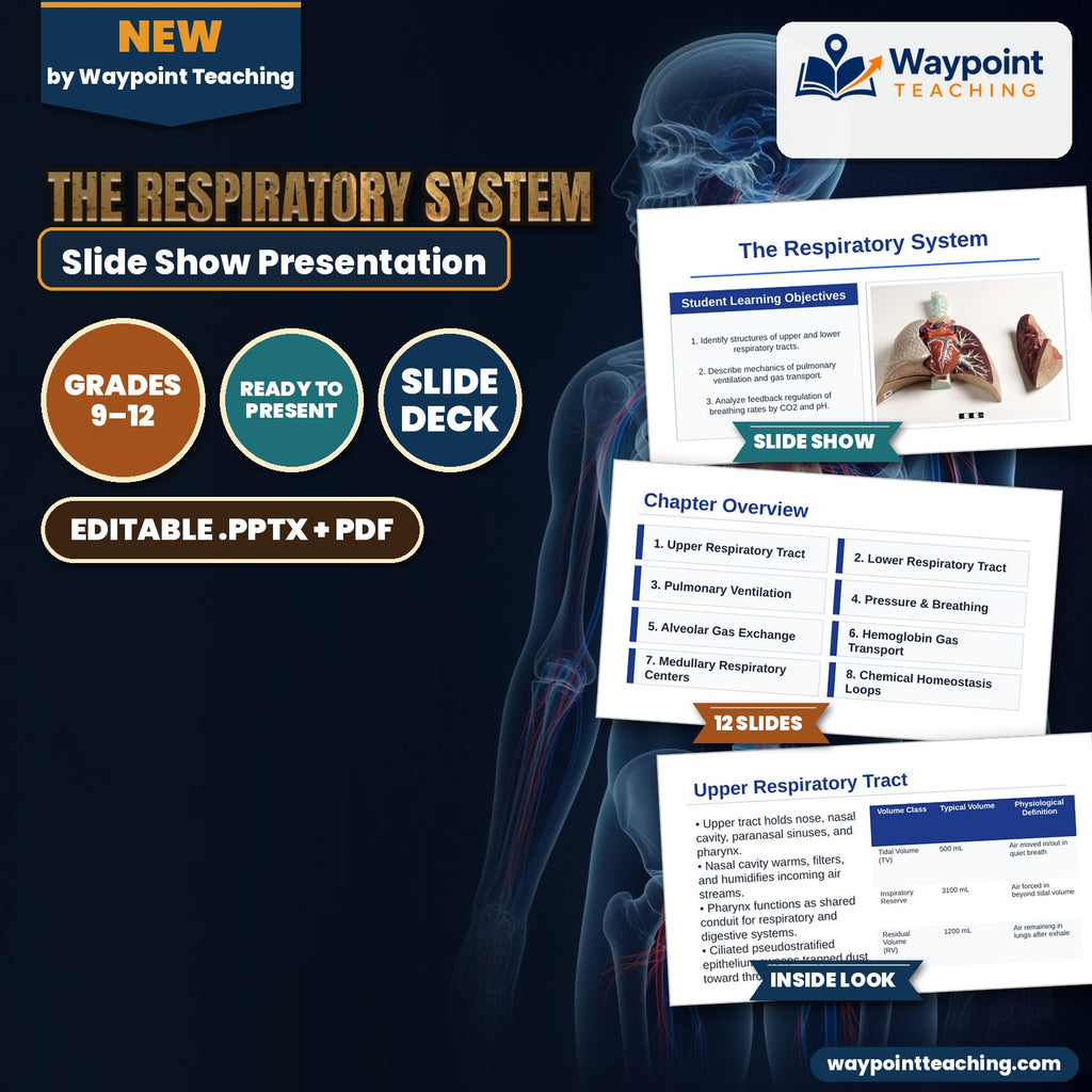 The Respiratory System Slide Show Presentation cover