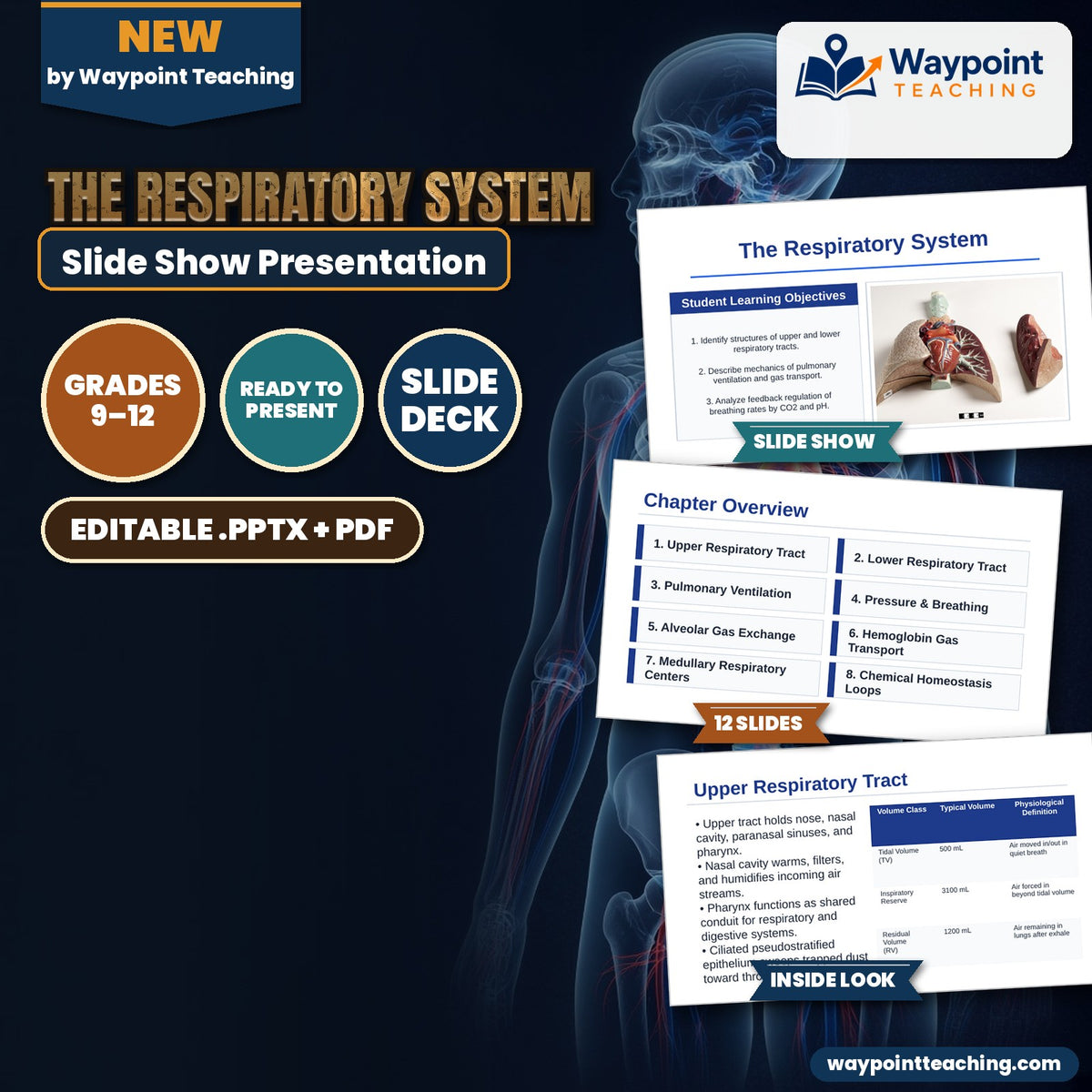 The Respiratory System Slide Show Presentation cover