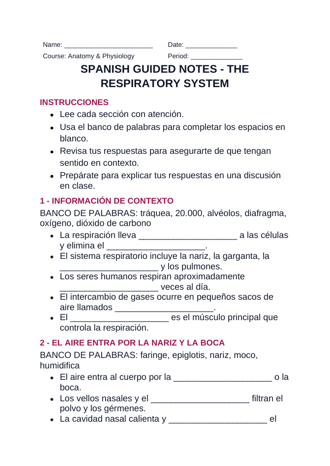 The Respiratory System Spanish Guided Notes sample page