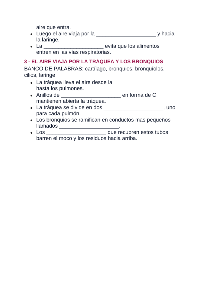 The Respiratory System Spanish Guided Notes sample page