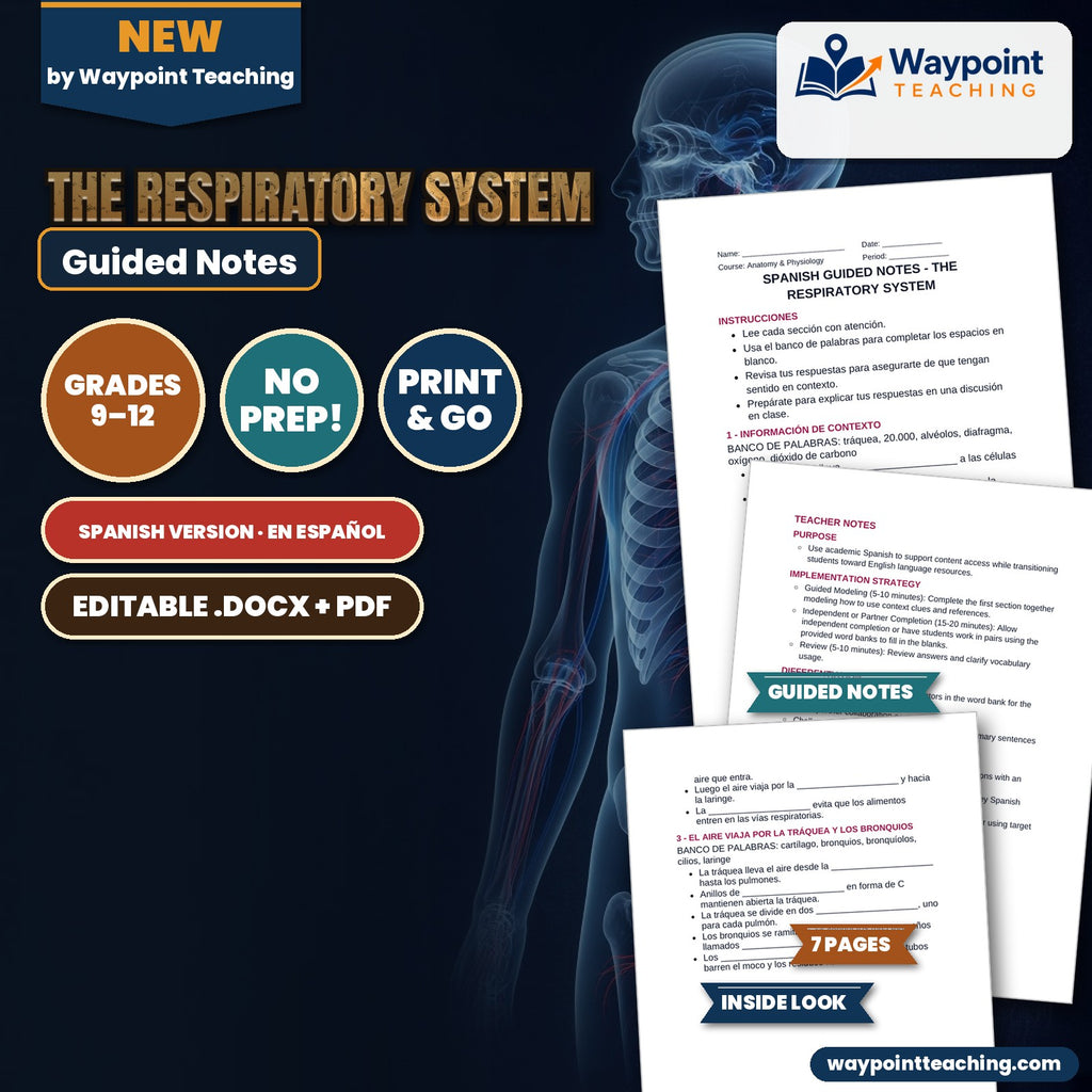 The Respiratory System Spanish Guided Notes cover