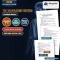 The Respiratory System Spanish Guided Notes cover
