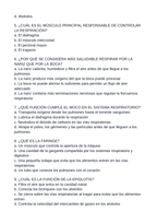 The Respiratory System Spanish Unit Test sample page
