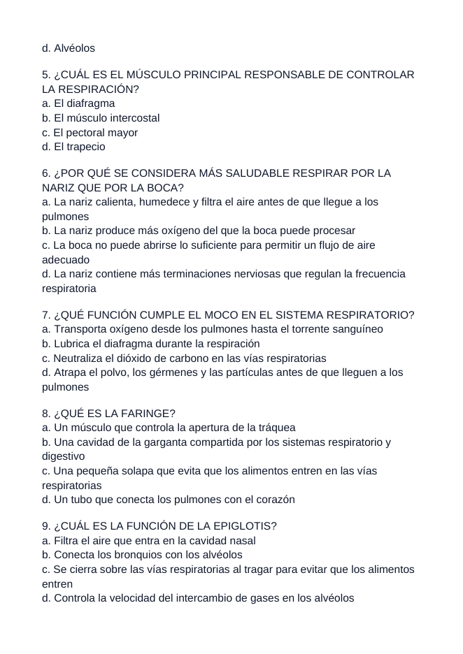 The Respiratory System Spanish Unit Test sample page