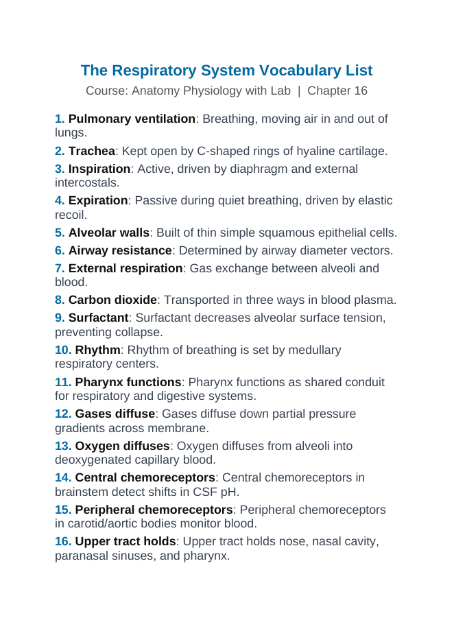 The Respiratory System Vocabulary Words & Definitions sample page