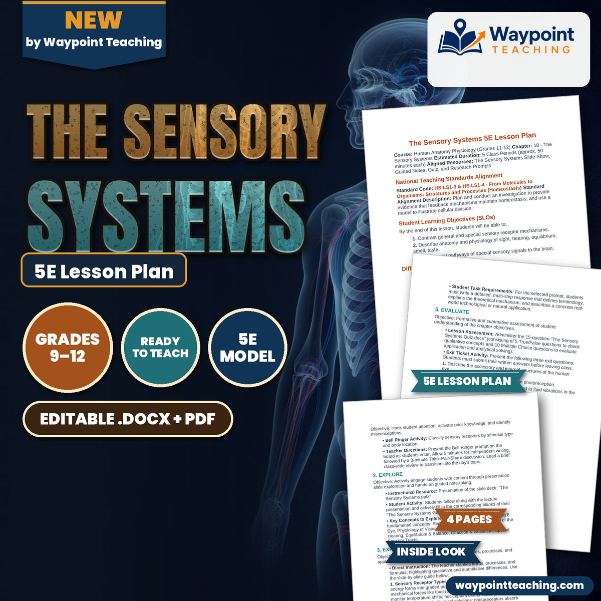 The Sensory Systems 5E Lesson Plan cover