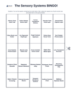 The Sensory Systems BINGO Review Game sample page