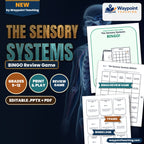 The Sensory Systems BINGO Review Game cover