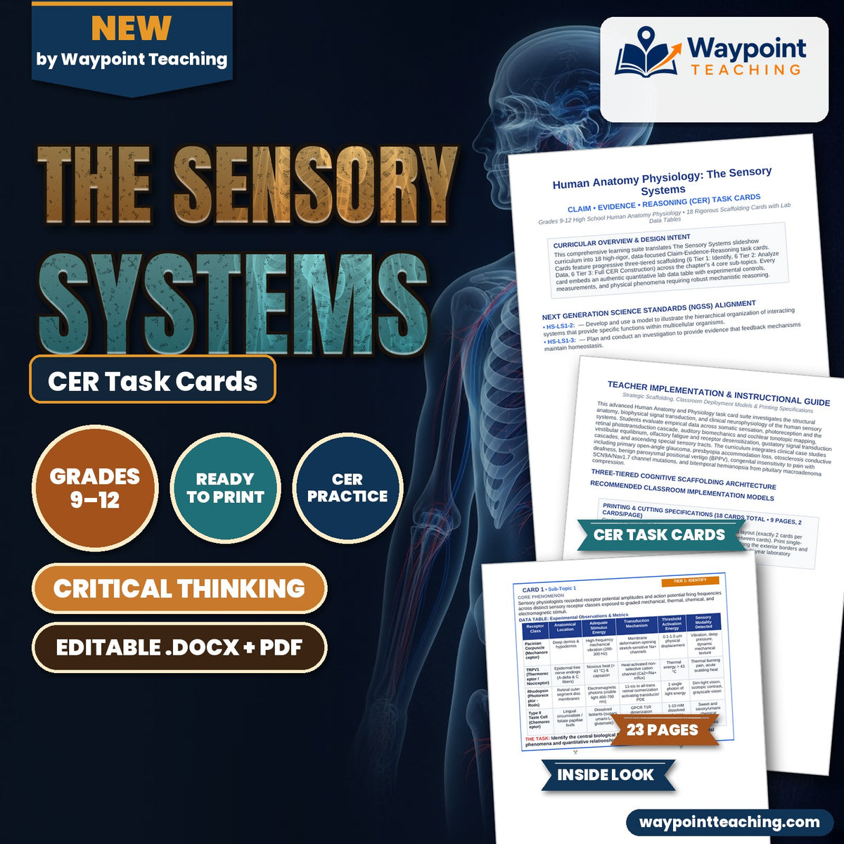 The Sensory Systems CER Task Cards cover