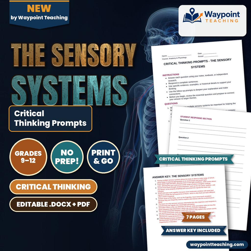 The Sensory Systems Critical Thinking Prompts cover